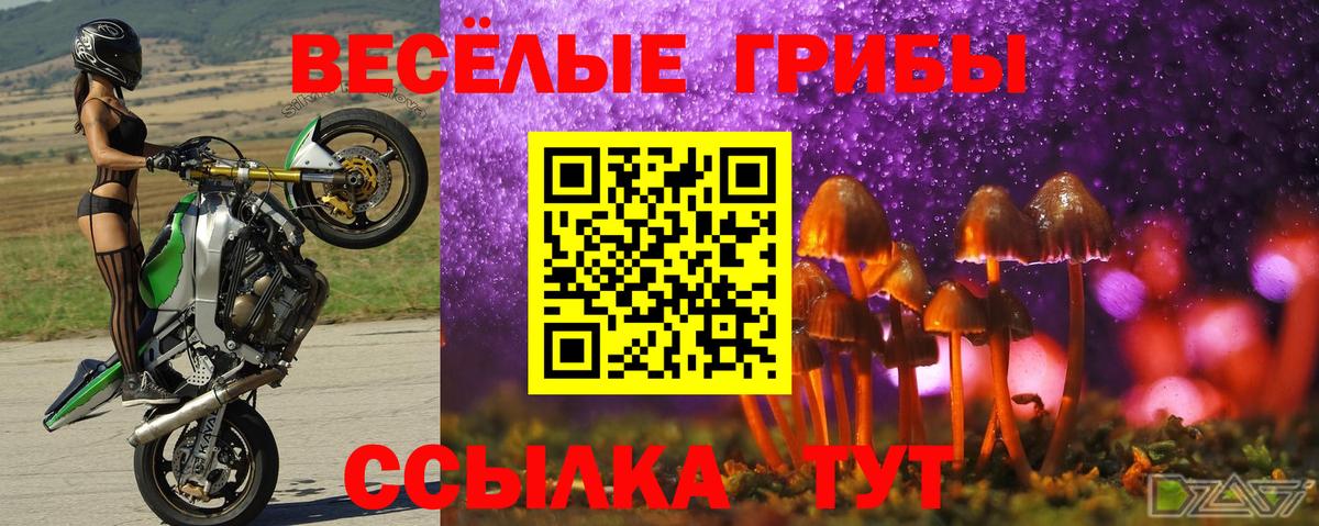 Галлюциногенные грибы прущие грибы Сыктывкар