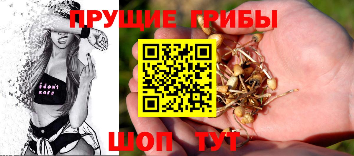 Сыктывкар  Псилоцибиновые грибы ЛСД  Псилоцибиновые грибы Psilocybine cubensis  Вход с VPN 